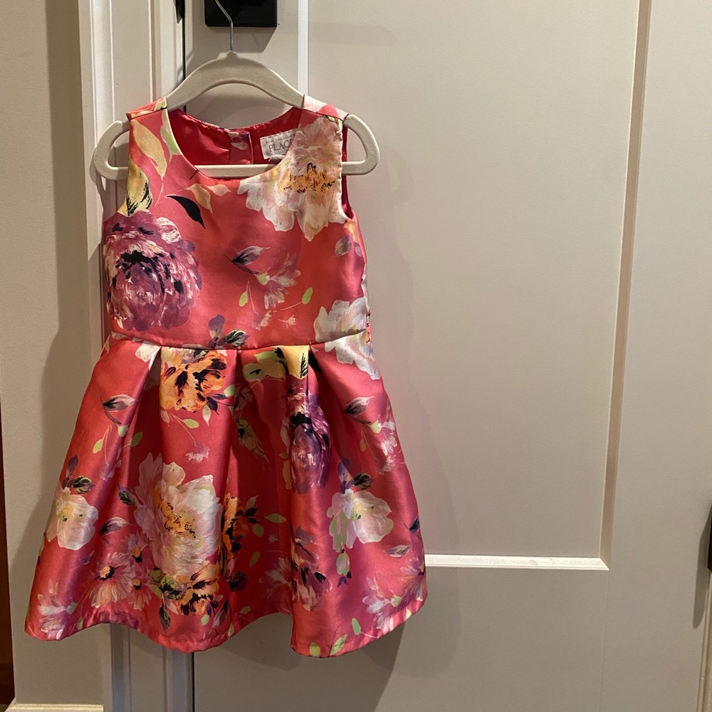 The Children’s Place dress - 4T - never worn and no tag